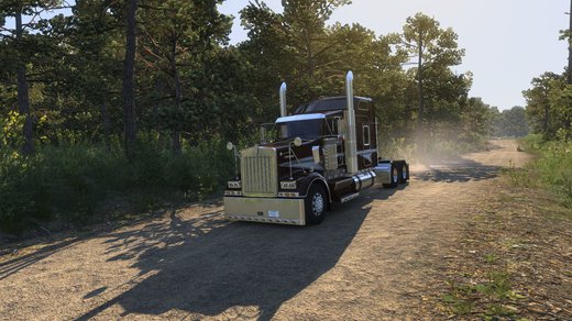 Kenworth W900