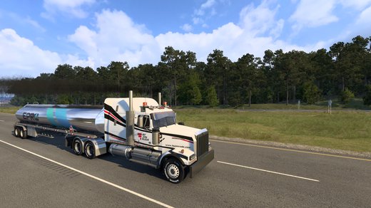 WS 4900