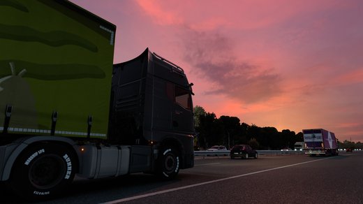 MAN TGX