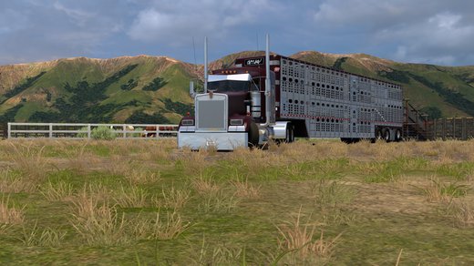 Kenworth W900 Series