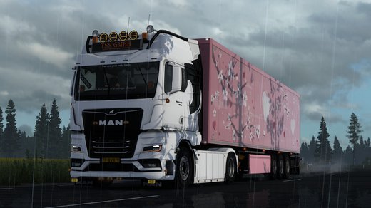 MAN TGX (TG3)