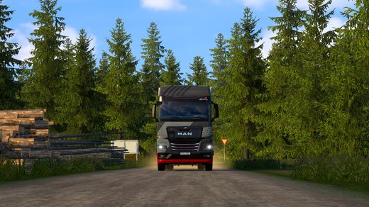 MAN TGX