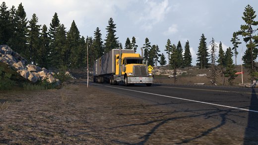 International 9900i