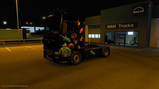 MAN TGX Euro 6