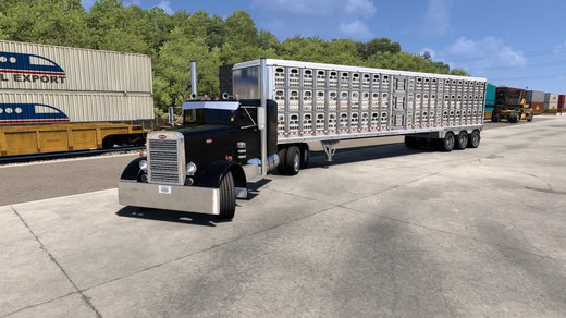 Peterbilt 351