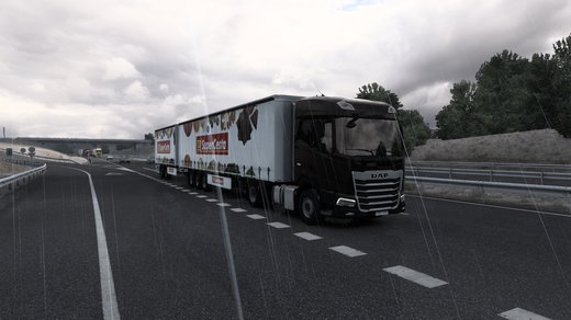 DAF 2021