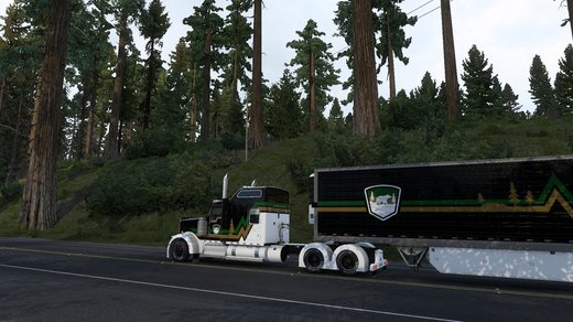 Kenworth W900