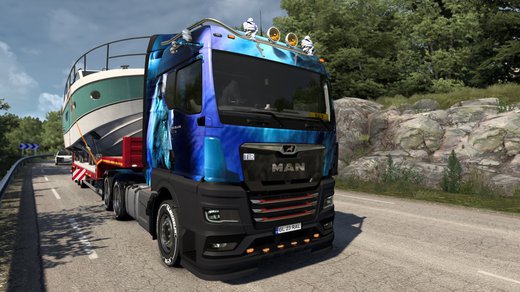 MAN TGX