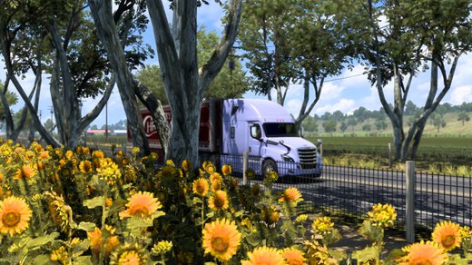 Freightliner Cascadia 2019