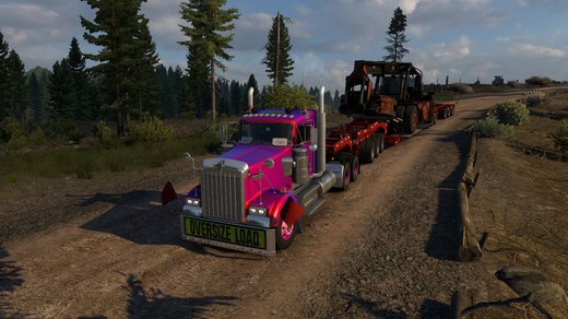 Kenworth W900