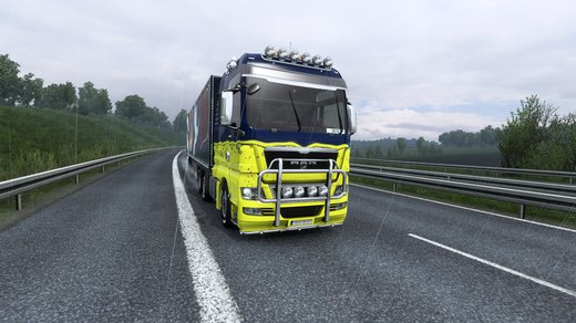 MAN TGX Euro 5