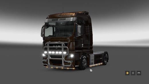 MAN TGX Euro 5