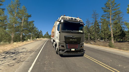 @@MAN TGX 2020@@ @@@@