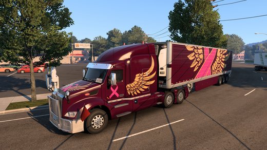 Peterbilt 579
