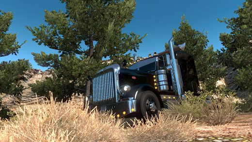 Peterbilt 389