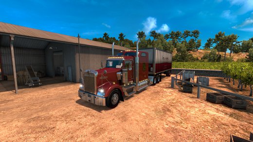 Kenworth W900
