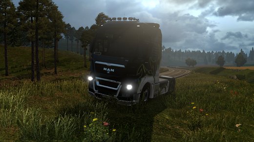 MAN TGX Euro 5