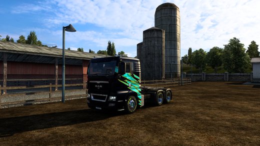 MAN TGX Euro 5