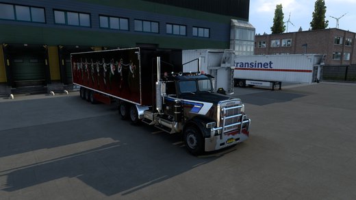 Freightliner FLC 12064-T