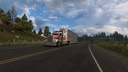 Kenworth W900