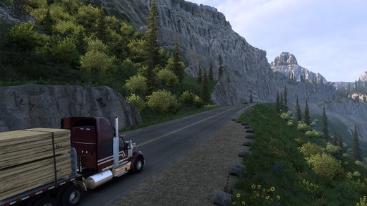 International LoneStar