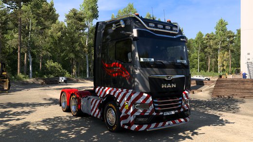 MAN TGX