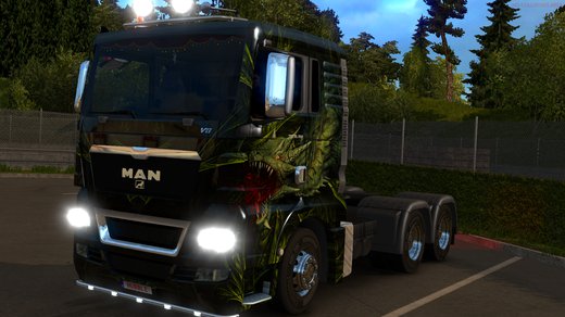 MAN TGX Euro 5