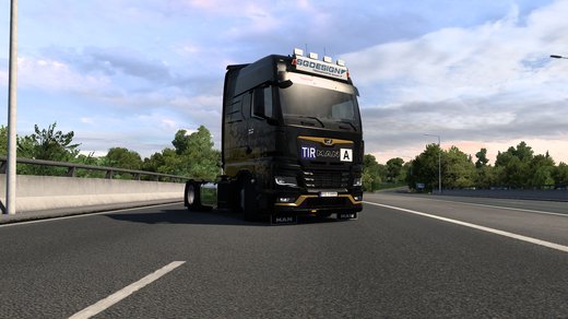 MAN TGX