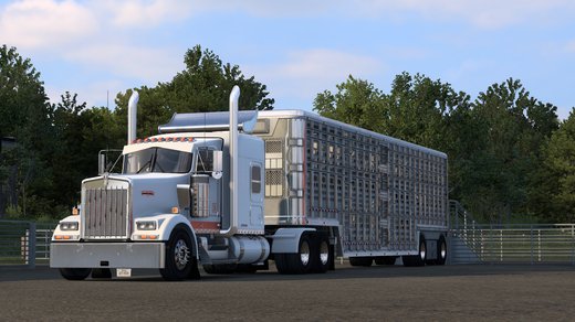 Kenworth W900