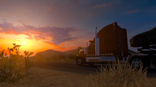 International LoneStar