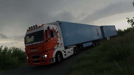 MAN TGX Euro 6