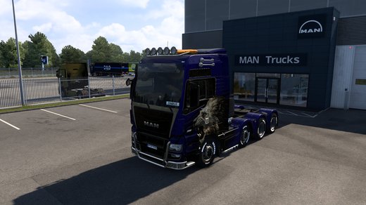 MAN TGX Euro 6