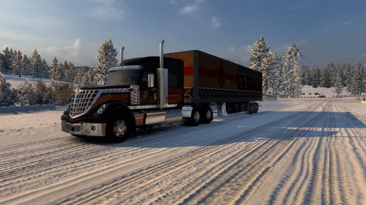 International LoneStar