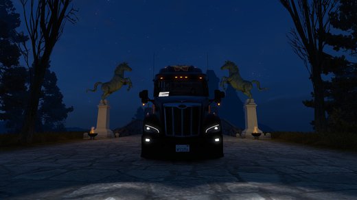 Pete 579