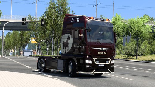 MAN TGX Euro 6