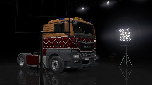 MAN TGX Euro 6