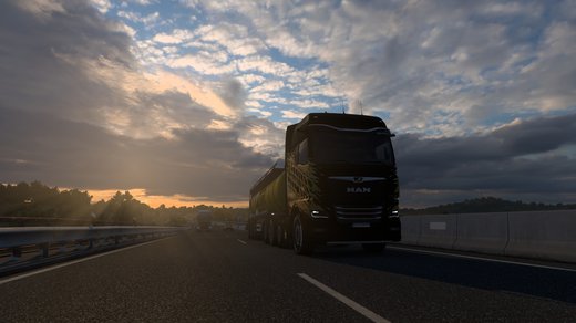 MAN TGX