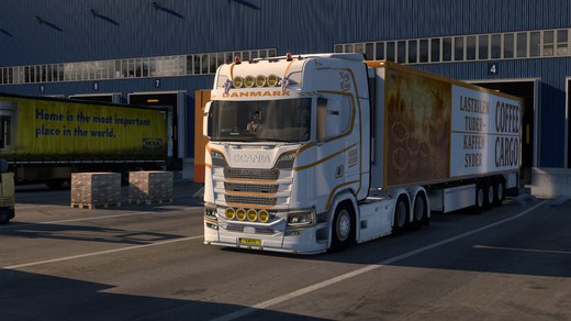Scania S