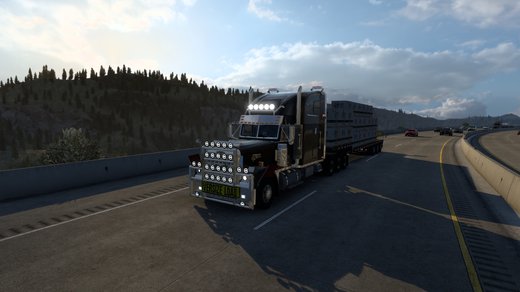 Freightliner FLD132 Classic XL
