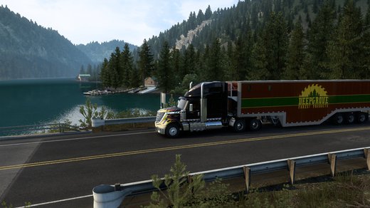 International LoneStar