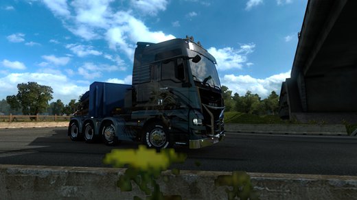 MAN TGX Euro 6
