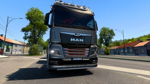 MAN TGX