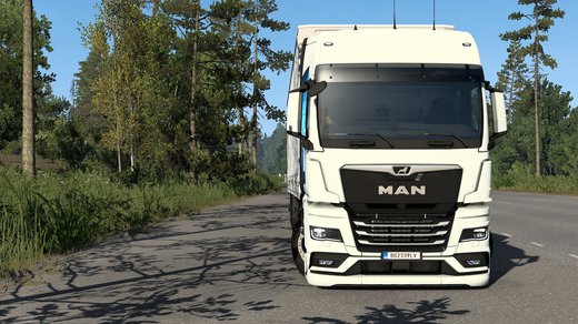 MAN TGX (TG3)