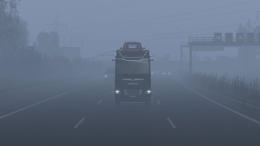 MAN TGX