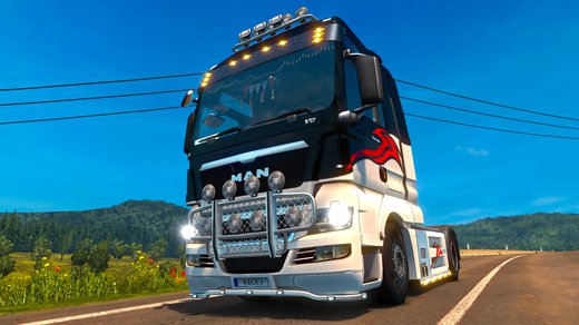 MAN TGX Euro 5