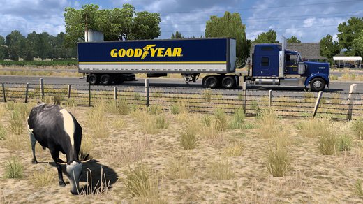 Kenworth W900