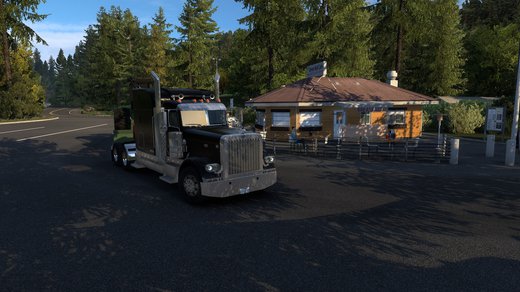 Peterbilt 389