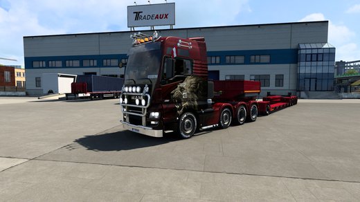 MAN TGX Euro 6