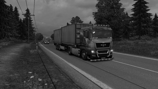 MAN TGX Euro 5