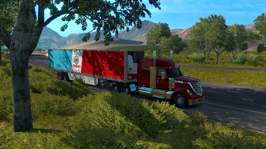 International LoneStar